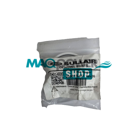 250019-451 | KIT PARA VÁLVULA POPET S/10 | Sullair